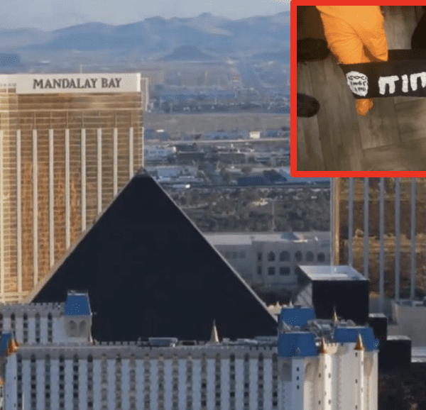 Las Vegas Police and FBI Thwart “Alleged” ISIS Assault by 16-Yr-Previous Lone…